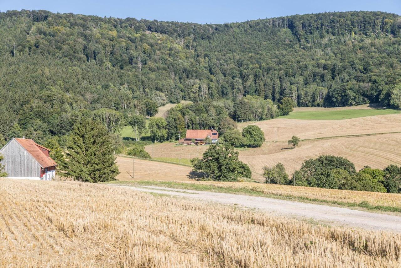 Der Lachenbuckhof Blumberg Exteriör bild